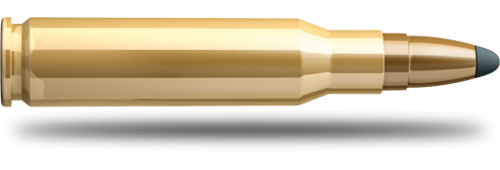 Náboj Lapua 6,5x55 Naturalis Solid - Obrázek Náboj Lapua 6,5x55 Naturalis Solid - Obrázek